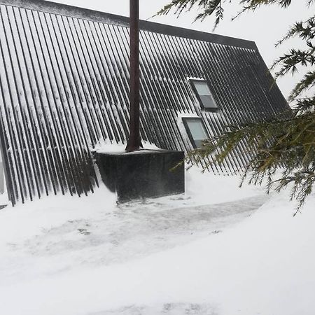 Chale Acolhedor - Penhas Da Saude - Serra Da Estrela โกวิลา ภายนอก รูปภาพ